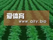 种植基地六(图1)