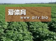 种植基地五