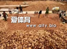 种植基地二