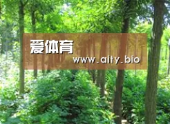 种植基地九