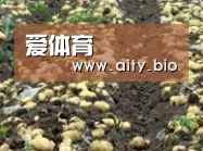 种植基地七